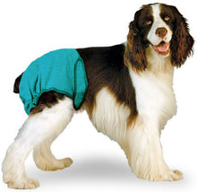 Load image into Gallery viewer, Simple Solution Washable Diapers - Large