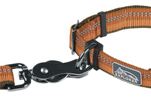 Load image into Gallery viewer, K9 Reflective Collar