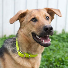 Load image into Gallery viewer, Shedrow K9 Tofino Waterproof Collar - Hot Pink