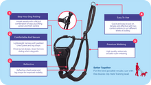 Load image into Gallery viewer, Halti No Pull Harness - Medium