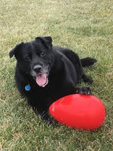 Load image into Gallery viewer, Jolly Pets - Jolly Egg - 12"