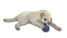 Load image into Gallery viewer, JW Pet Hol-ee Roller Small