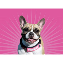Load image into Gallery viewer, RC Pets Bark Notes  - accessories