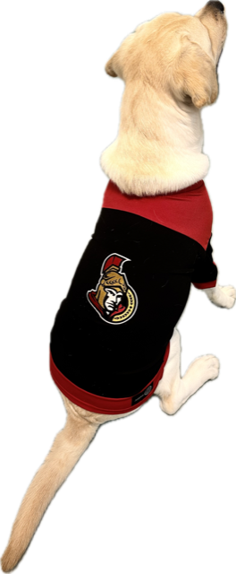 NHL PET - Ottawa Senators T-Shirt - XXL