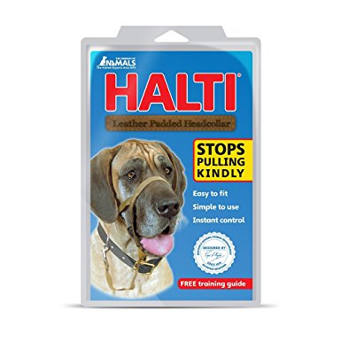 Halti Padded Head Collar - black - Size 4