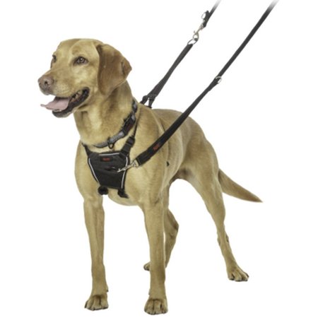 Halti No Pull Harness Medium – K9 Kanteen - Main Image