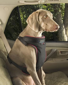 Solvit Pet Vehicle Safety Harness 60 to 120 lbs. - Xlarge