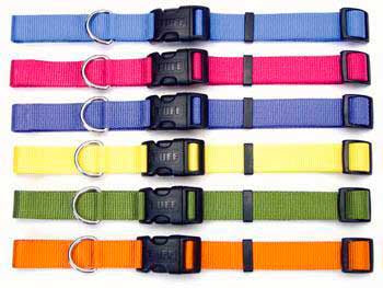 Coastal Nylon Collar 