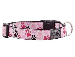 Pitter Patter Pink Clip Collar