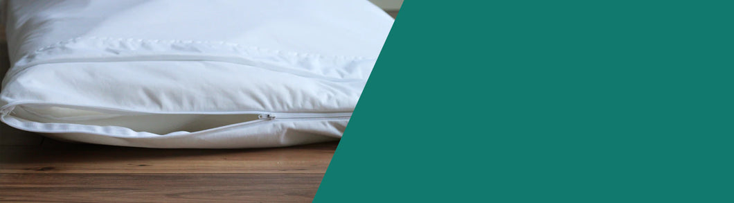 Be one 2024 breed cloud pillow