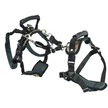 Load image into Gallery viewer, Petsafe Care Lift Support Harness - Large Black  (other sizes available upon request)